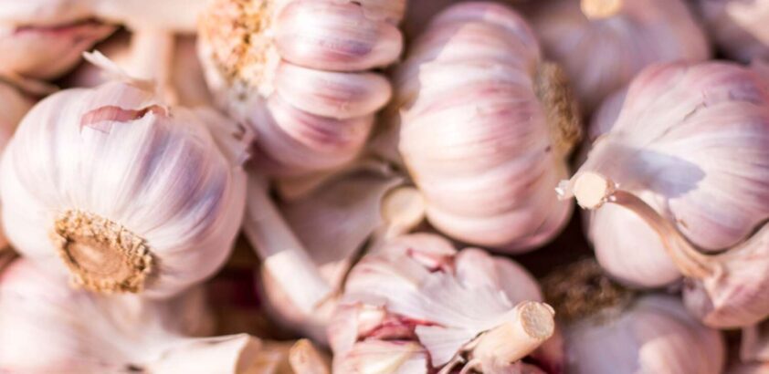 garlic