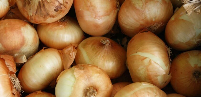 onion